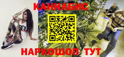 индика Нальчик