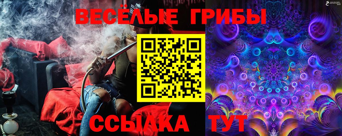 Галлюциногенные грибы ЛСД Тайшет